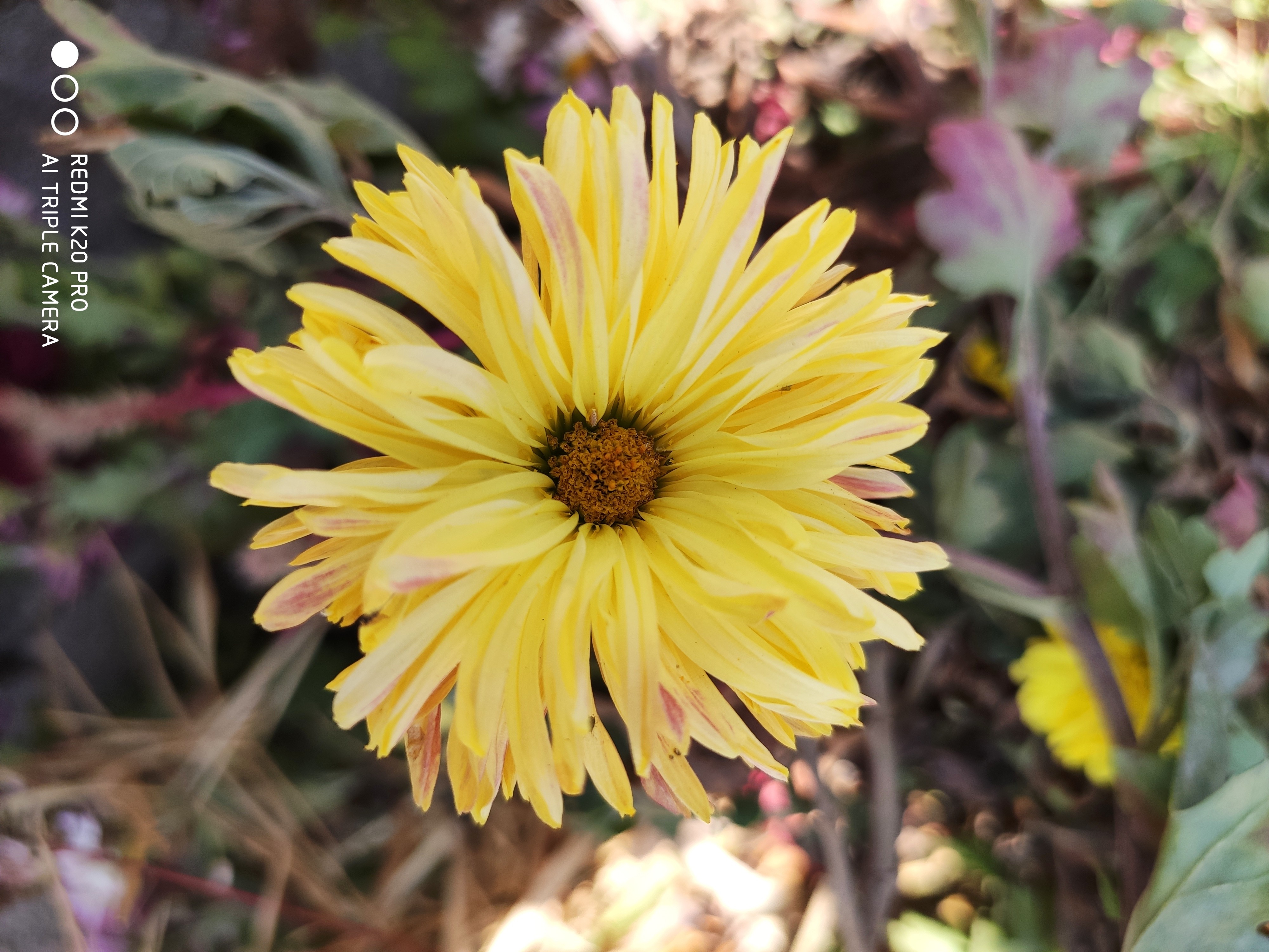 Annapurna Circuit Trek
